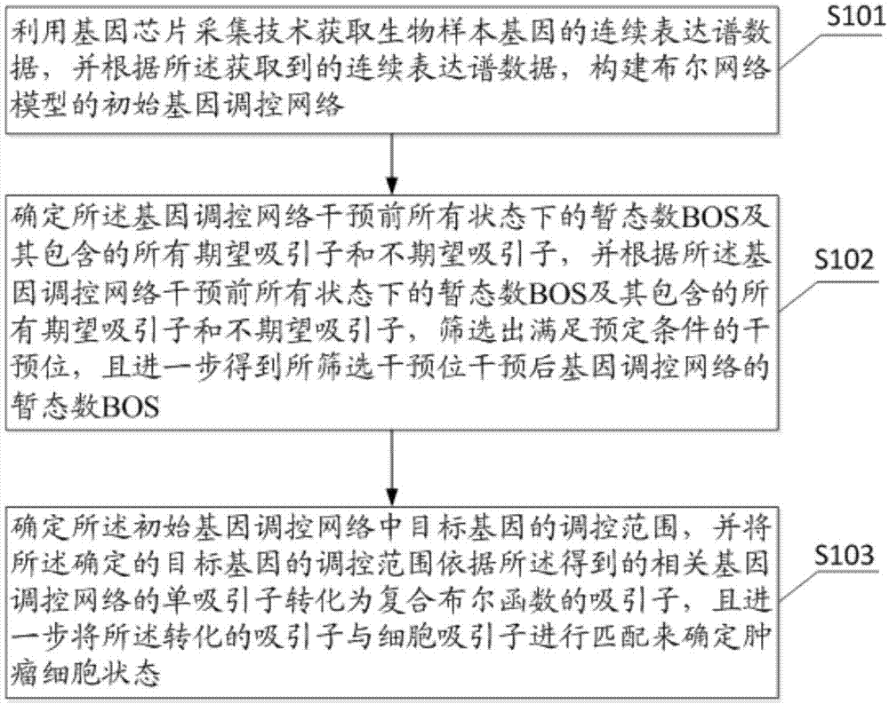 基于布尔网络吸引域模拟干预肿瘤细胞状态的方法与流程