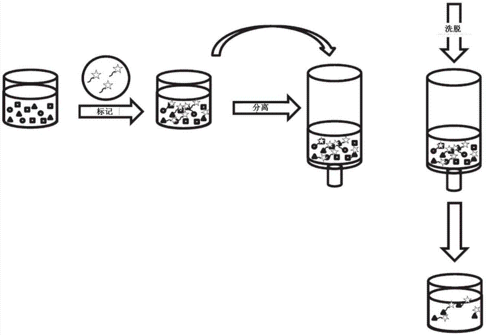 用于检测醛的方法、系统和组合物与流程