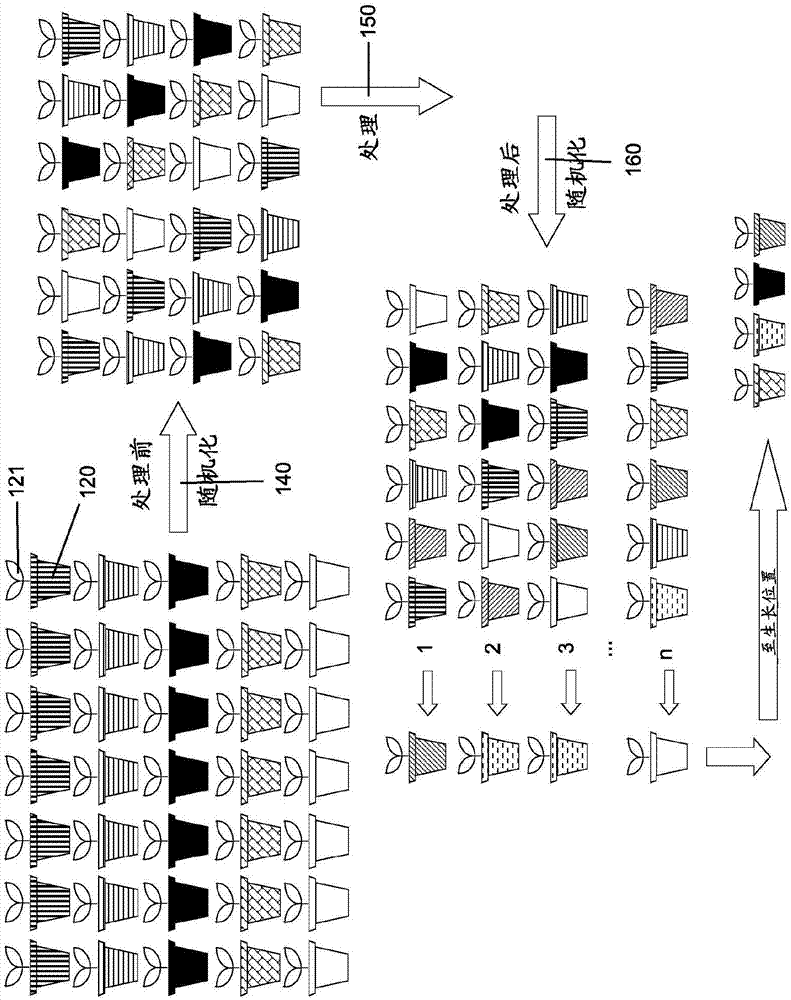 用于对植物的一个或多个特征的处理的高产出测试的方法和设备与流程