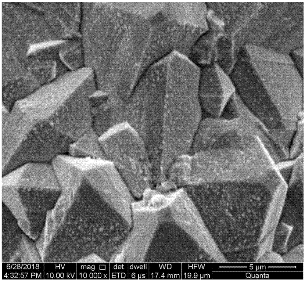 一种碳纸基体二氧化铅电极及其制备方法和应用与流程