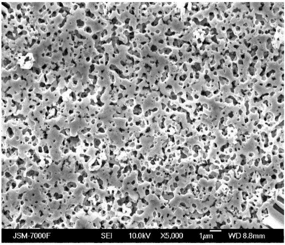 多孔网状结构GaN单晶薄膜、其制备方法及应用与流程