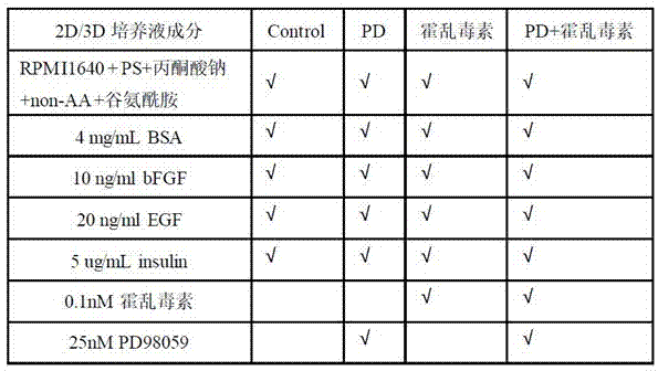 经体外培养的人源性肿瘤异种移植模型的建立方法与流程