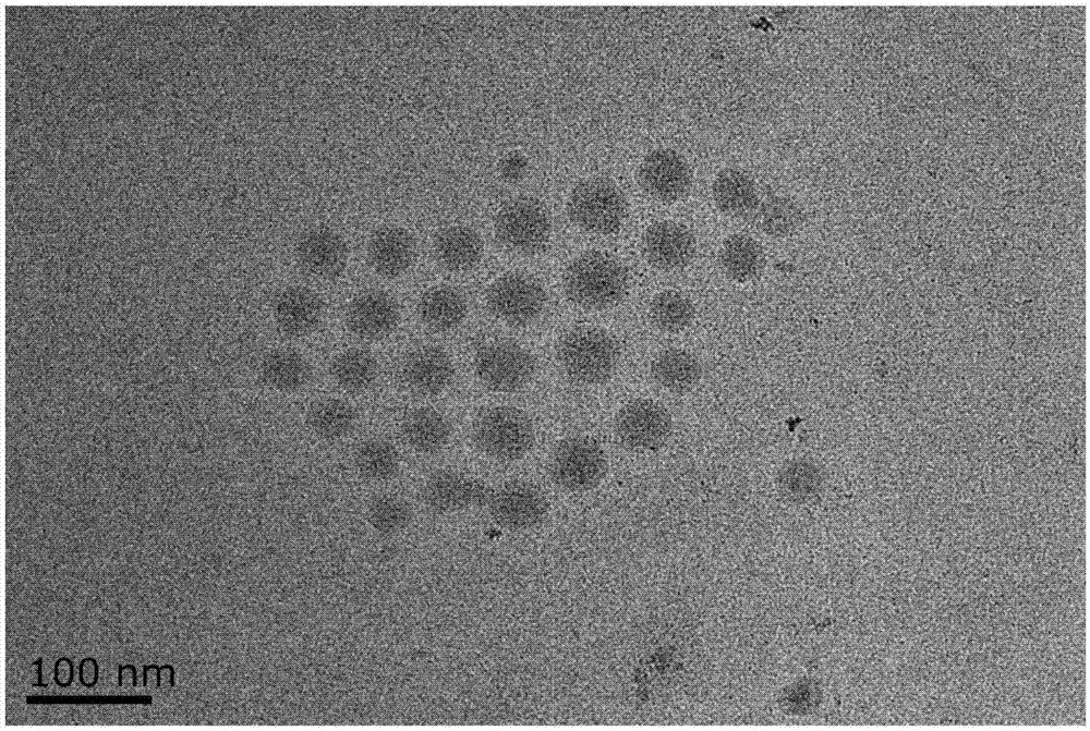 一种酚醛树脂纳米微球的合成方法与流程
