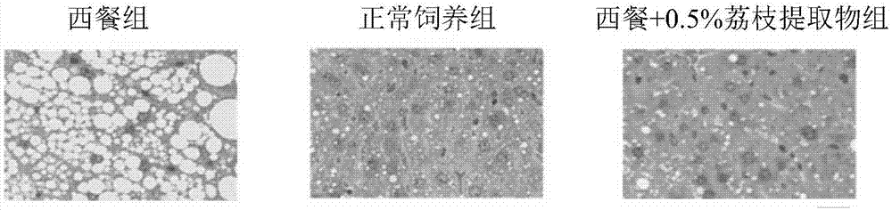 一种抗糖美白饮品及其制备工艺的制作方法