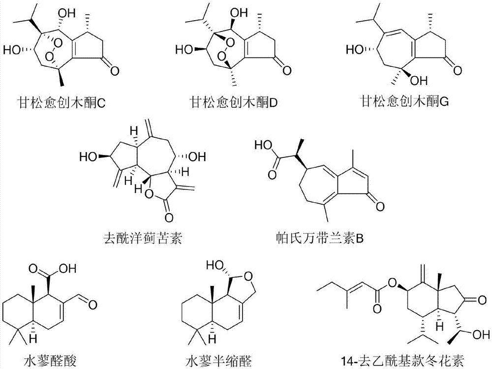 一种款冬花素衍生物用作酸性神经鞘磷脂酶抑制剂的用途的制作方法