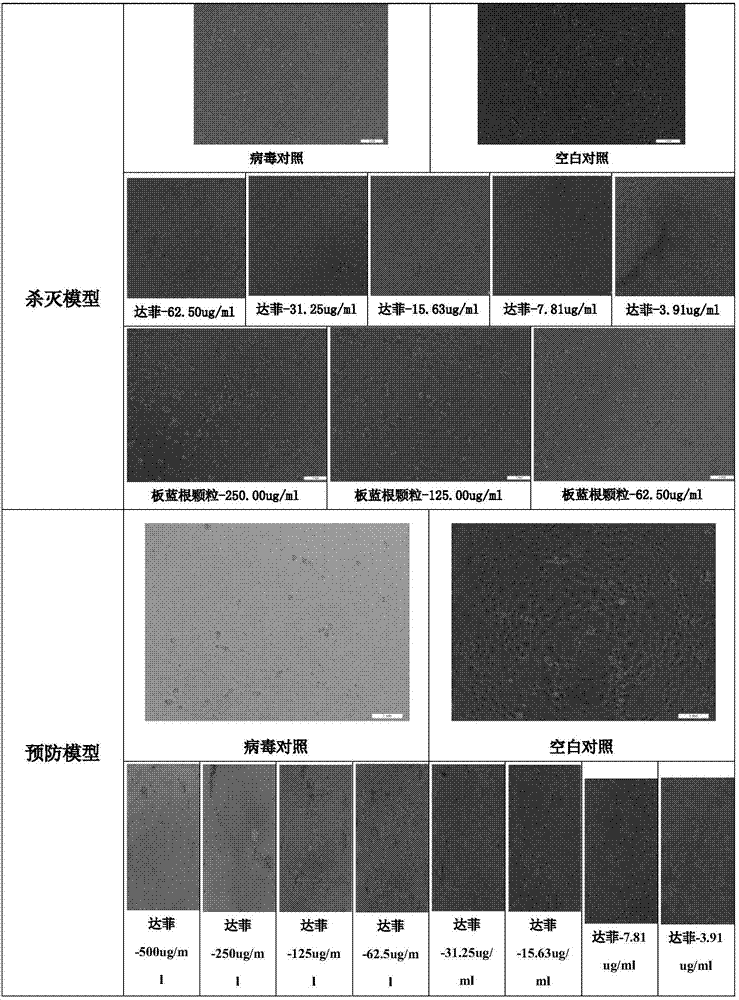 山腊梅提取物抗微生物的用途的制作方法