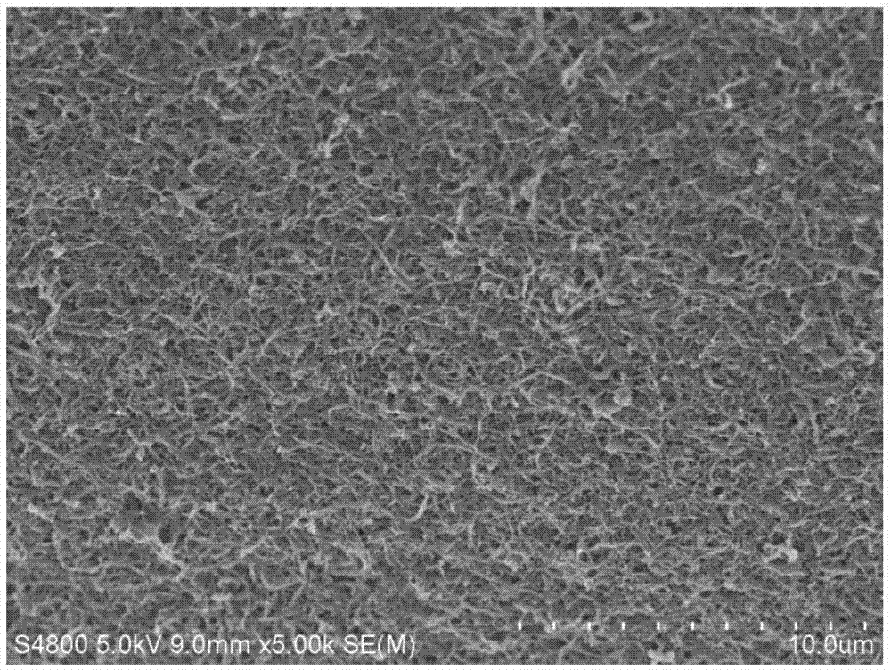 一种柔韧的碳纳米管功能化的导电中空纤维膜及其制备方法与流程