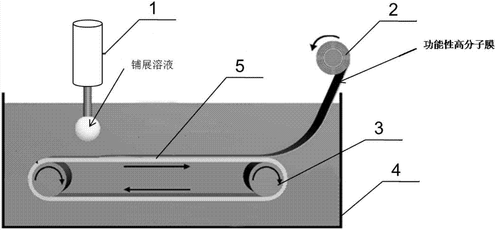 一种大面积连续制备功能性高分子膜的方法及装置与流程