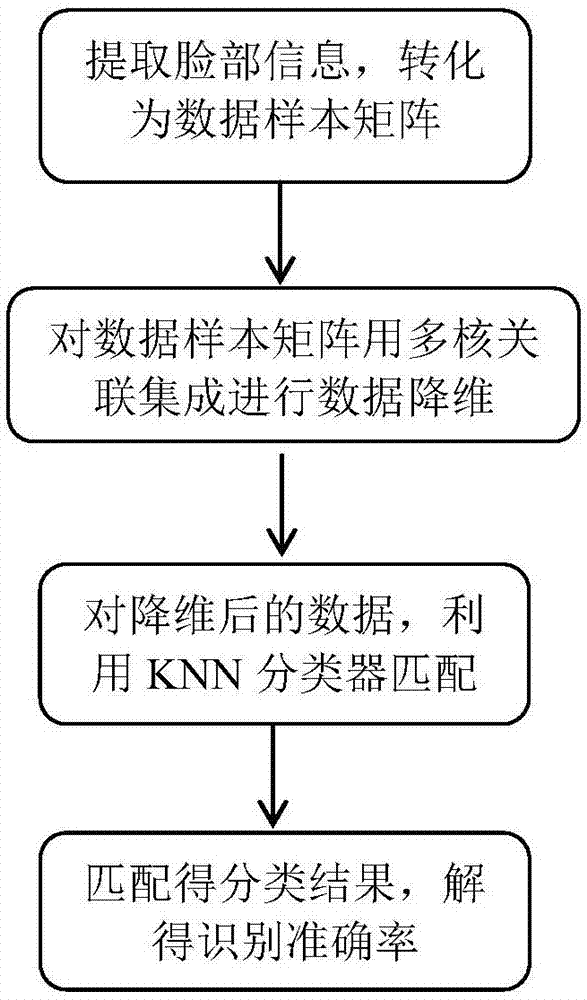 一种基于多核关联集成降维的人脸识别方法与流程