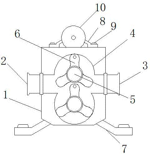 一种转子泵一体化结构的制作方法