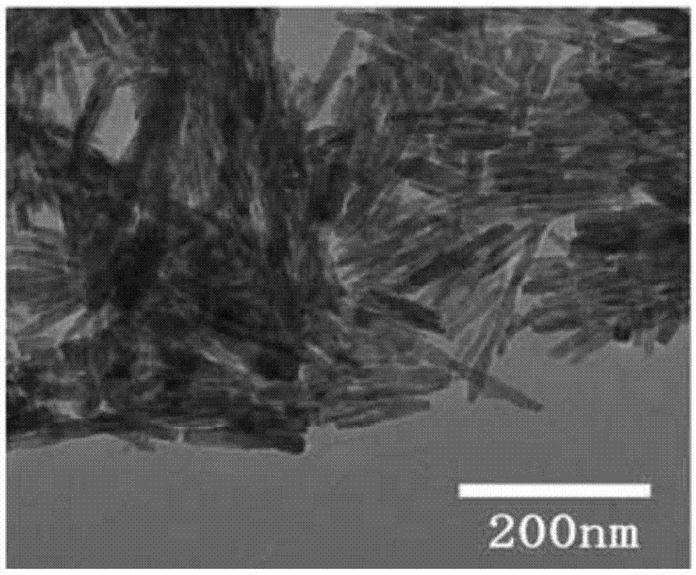 一种稀土离子掺杂钨酸钙/二氧化钛复合光阳极的制备方法与流程
