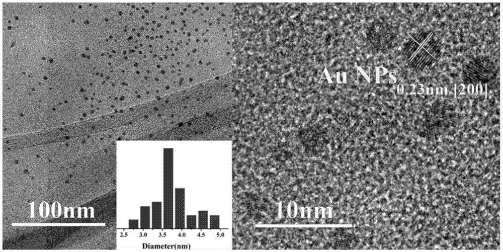 Au纳米颗粒/聚乙烯亚胺复合材料在检测汞离子中的用途的制作方法