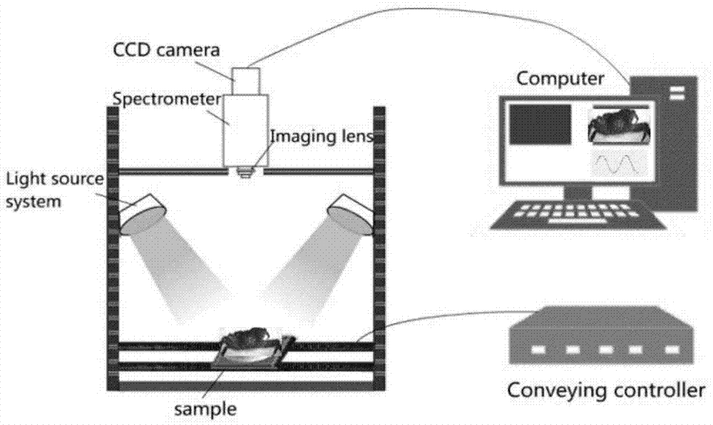 一种基于高光谱图像技术识别中华绒螯蟹品质的方法与流程