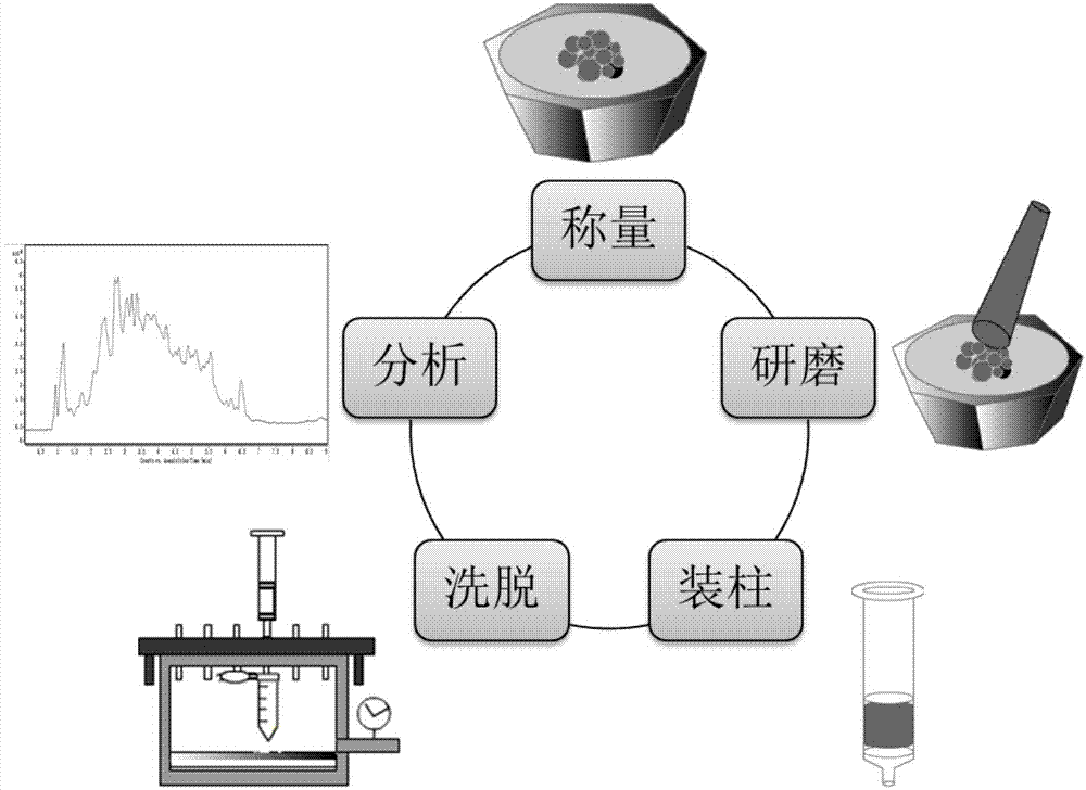 一种石榴皮的微提取方法与流程