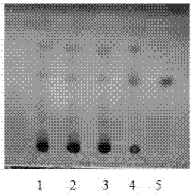 一种当归建中汤冻干粉全味药材的快速薄层鉴别方法与