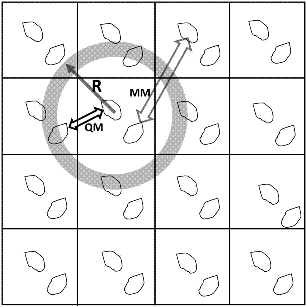 用于有机分子晶体结构预测中高精度能量排位方法与流程