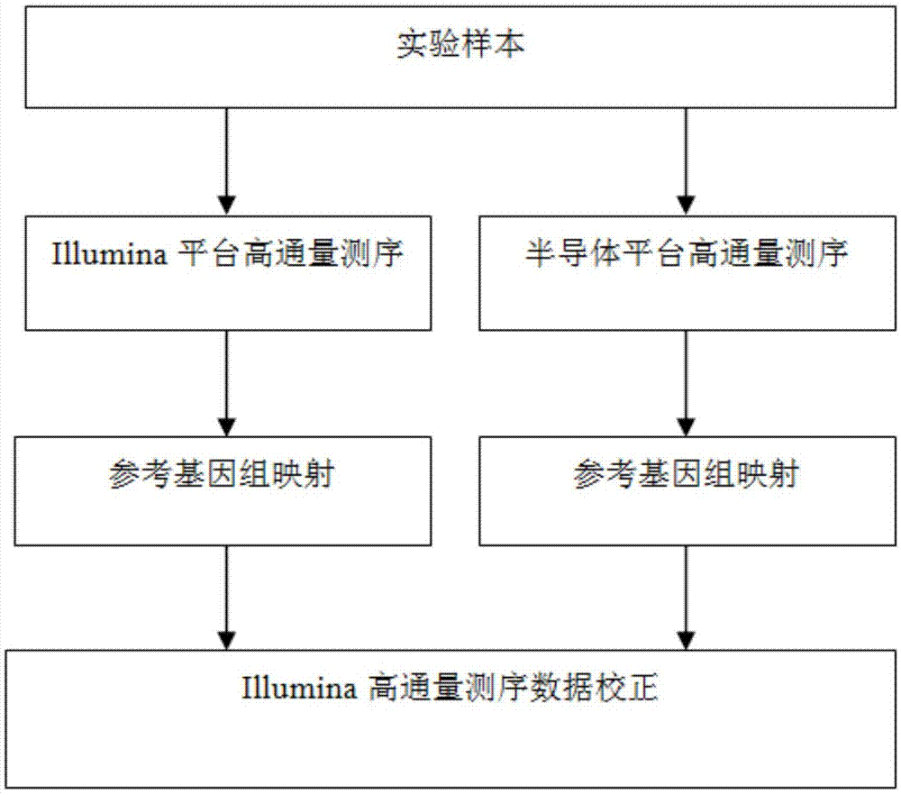 一种illumina高通量测序数据误差校正方法与流程