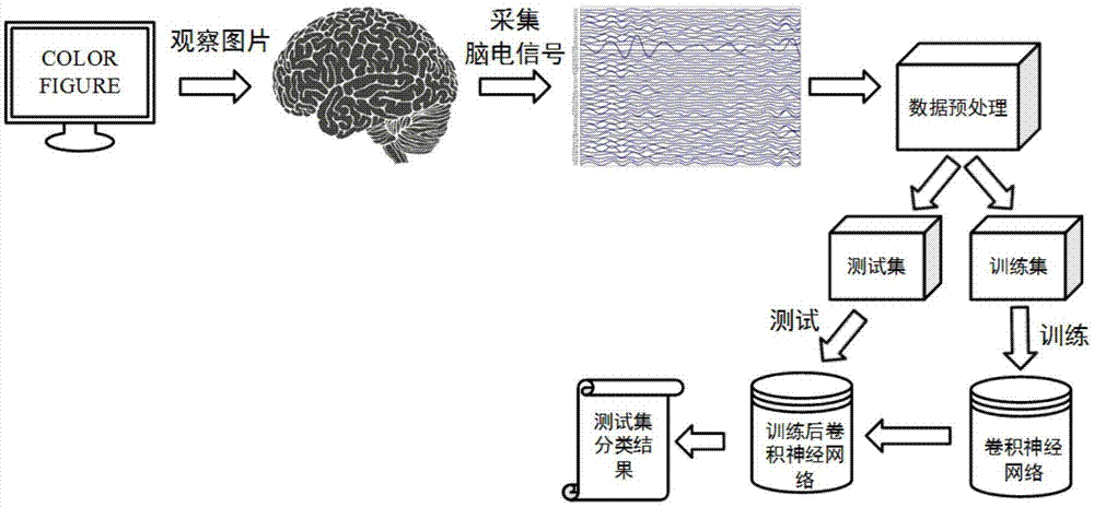一种基于卷积神经网络的脑电信号EEG身份识别方法与流程