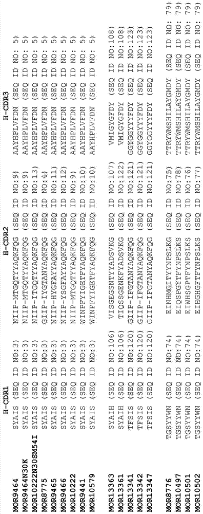 IL-18结合分子的制作方法