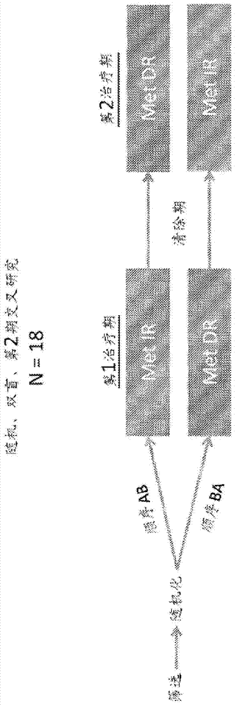 包含双胍的延迟释放组合物的制作方法