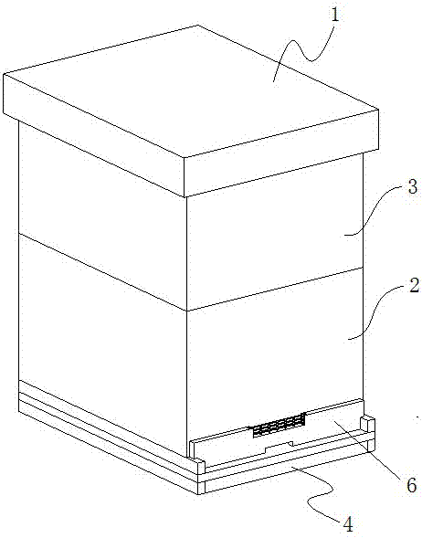 一种物理防虫的中华蜜蜂专用蜂箱的制作方法