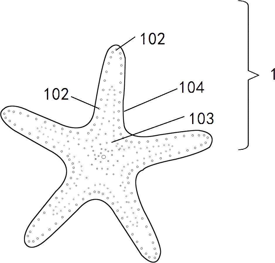 肌肤能量养生装置的制作方法