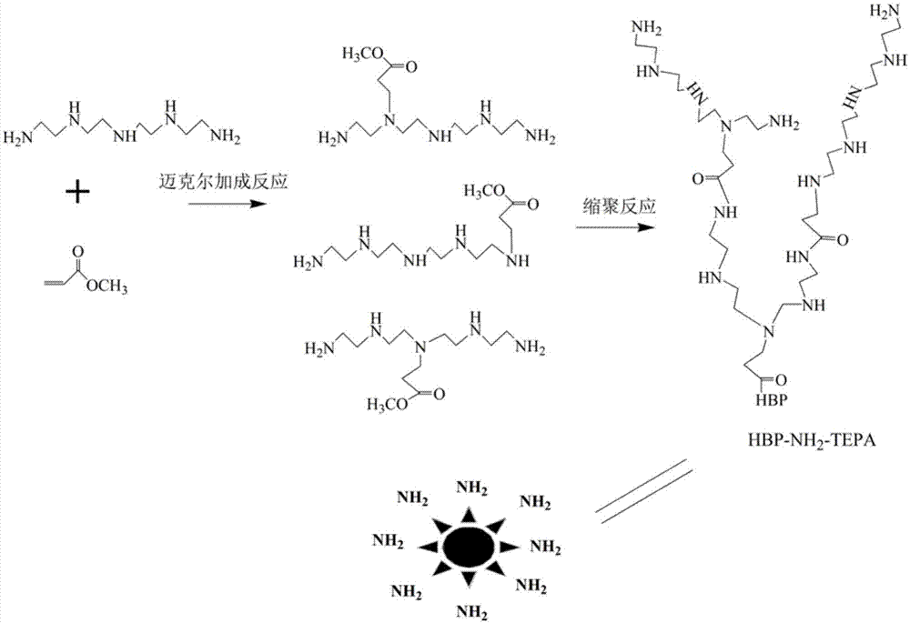 端氨基超支化聚合物接枝氧化石墨烯磁性阴离子吸附剂的制备及应用的制作方法