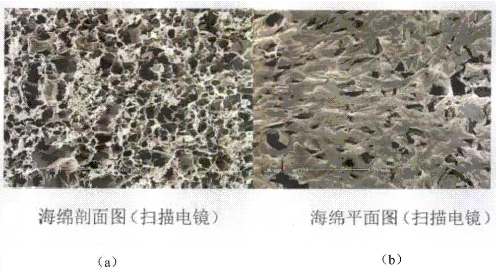 一种明胶海绵及其制备工艺的制作方法