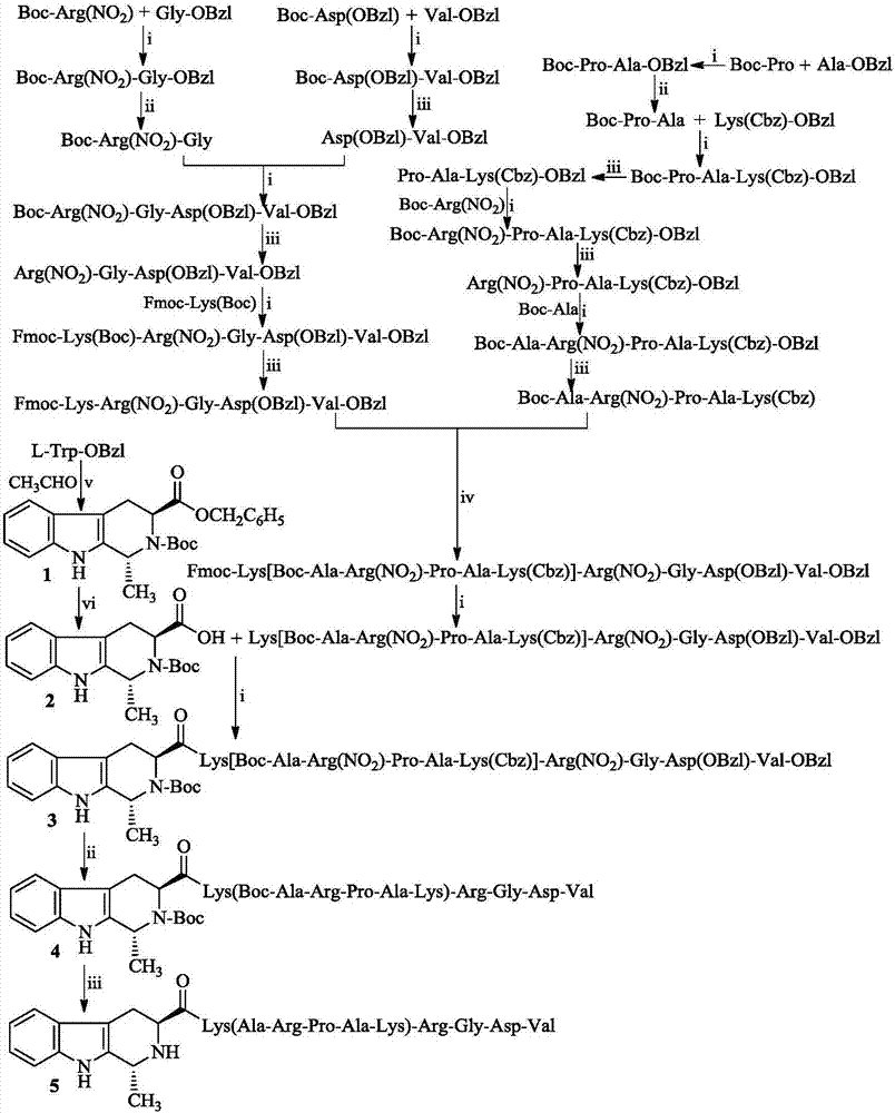 1R-甲基-β-四氢咔啉酰-K(ARPAK)-RGDV, 其合成, 活性和应用的制作方法