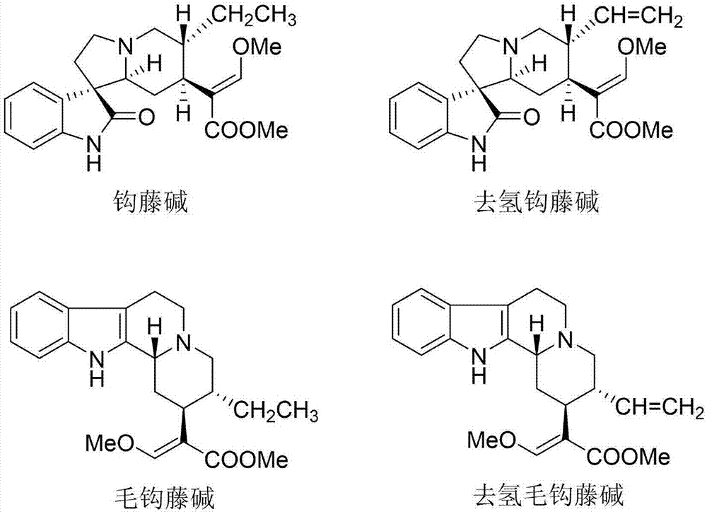 一种干细胞增殖促进剂的制作方法