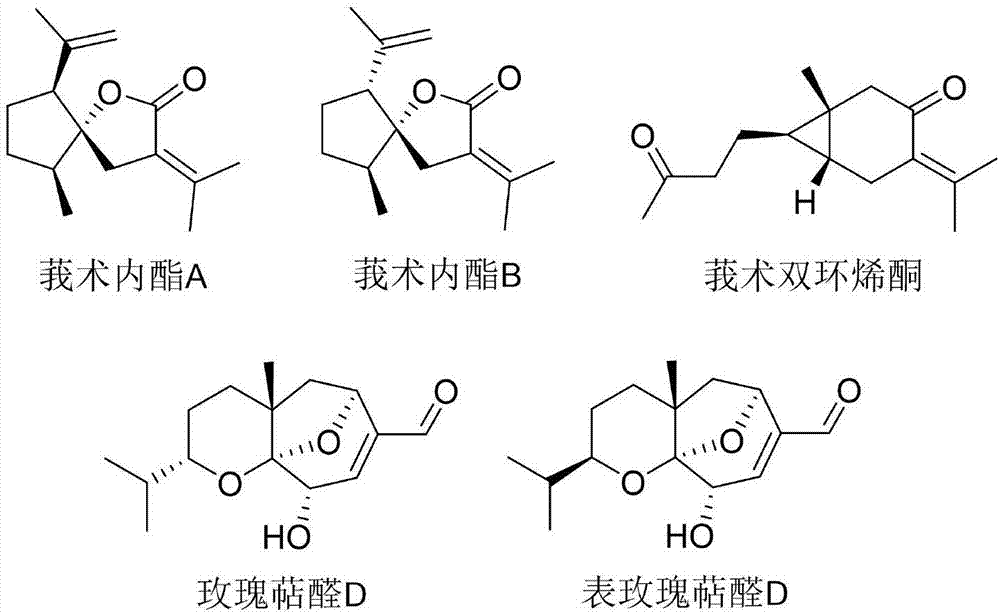 一种诱导骨髓间充质干细胞成骨分化的培养液的制作方法