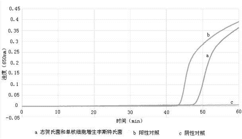 双重LAMP同时检测志贺氏菌和单核细胞增生李斯特氏菌用引物组、试剂、试剂盒及方法与流程