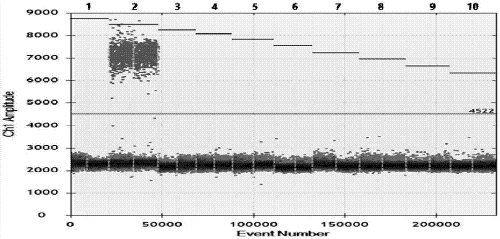 基于数字PCR技术检测猪瘟病毒的引物和探针及其试剂盒与方法与流程