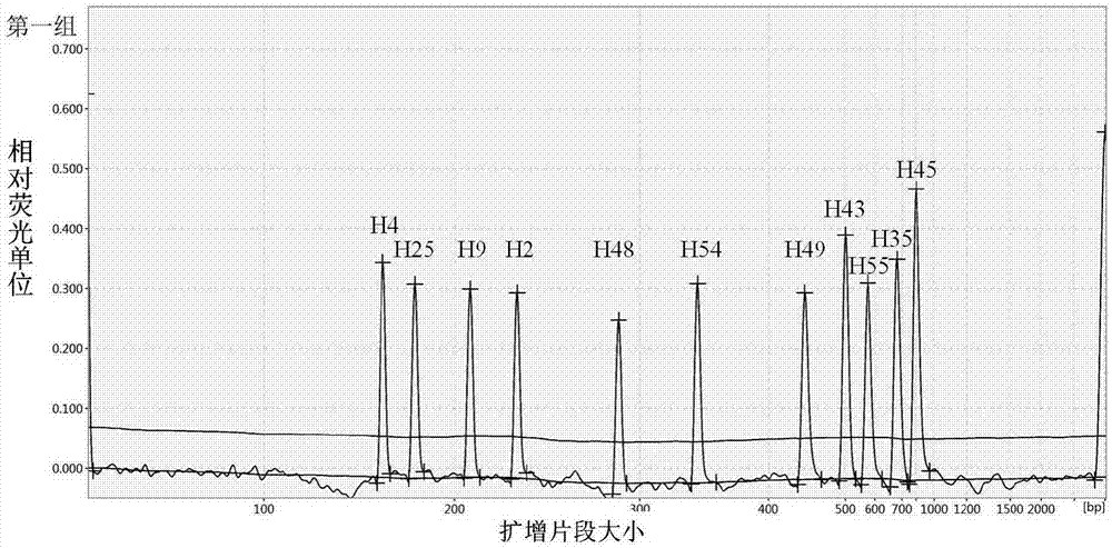 一种大肠杆菌H血清型分型检测试剂盒及检测方法与流程