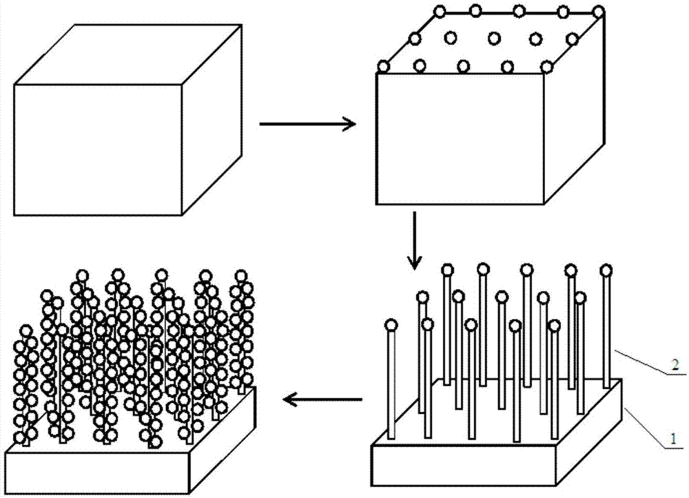 一种高表面积固体聚合物膜电极及其制备方法与流程