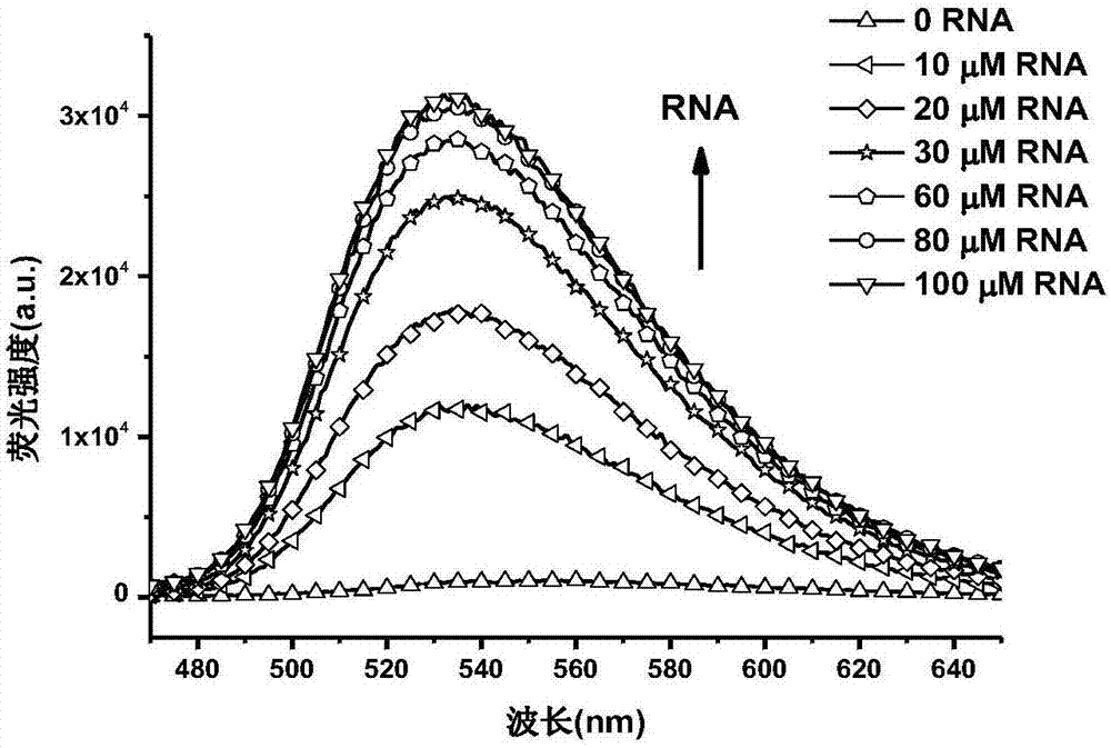 含萘酰亚胺的小分子作为荧光探针在RNA检测和成像方面的应用的制作方法