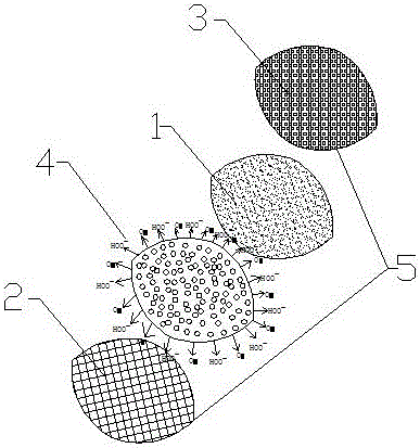 一种具有缓释活性氧和氧气的结构的制作方法