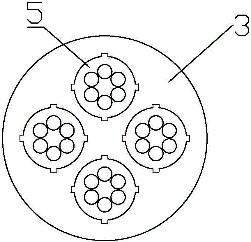 一种生物纳米磁珠法提取真菌DNA试剂盒的制作方法