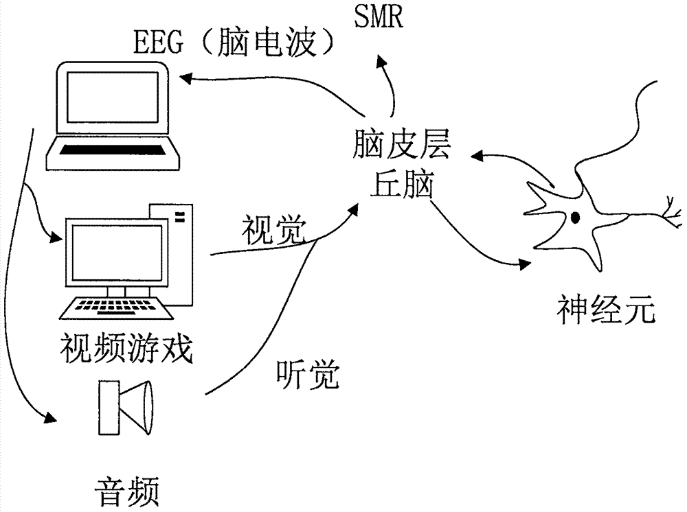 一种脑波的检测仪与调整仪的制作方法