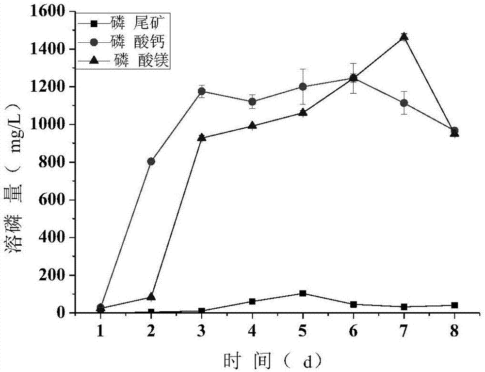 一种利用废弃磷尾矿粉制备的微生物有机肥及其制备方法与流程