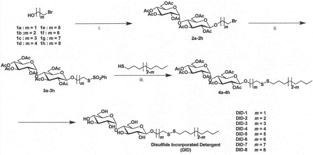 二硫键桥连去垢剂及其在膜蛋白研究中的应用的制作方法