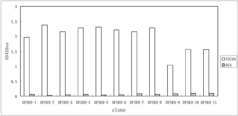 抗PCSK9单克隆抗体的制作方法