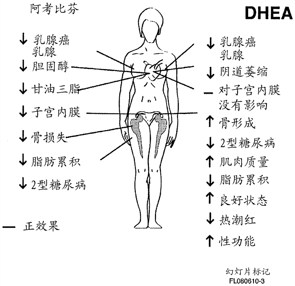 治疗或预防雌激素相关疾病的方法与流程