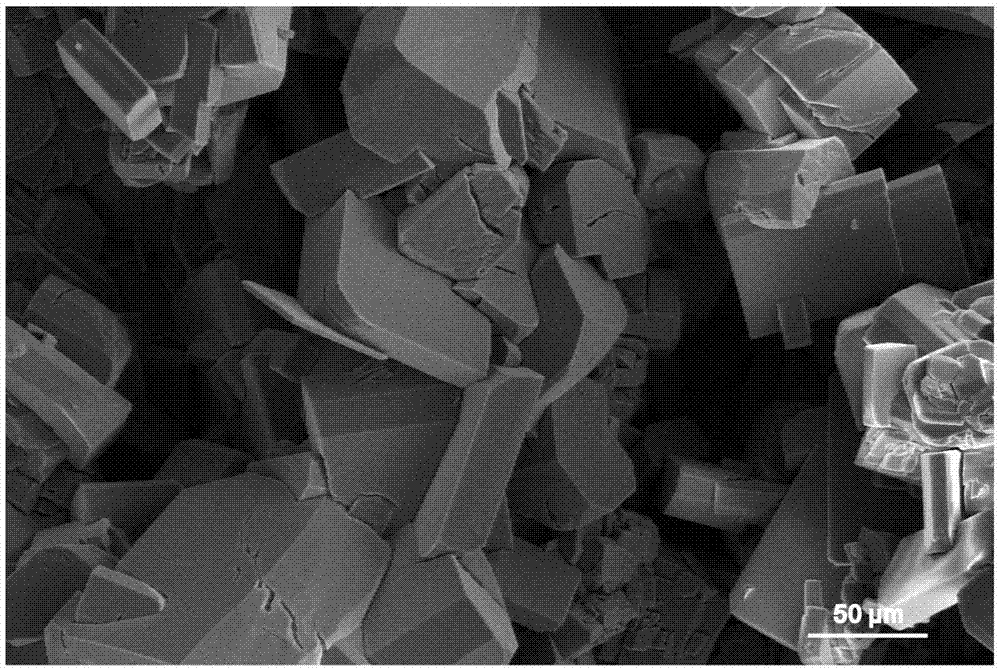 一种镁/镁合金的氢氧化镁‑钙磷复合涂层的制备方法与流程