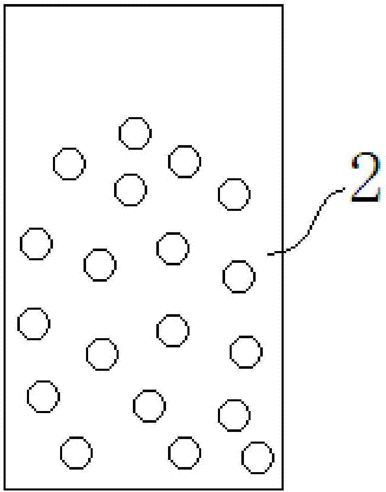 一种鸡蛋新鲜度检测装置的制作方法