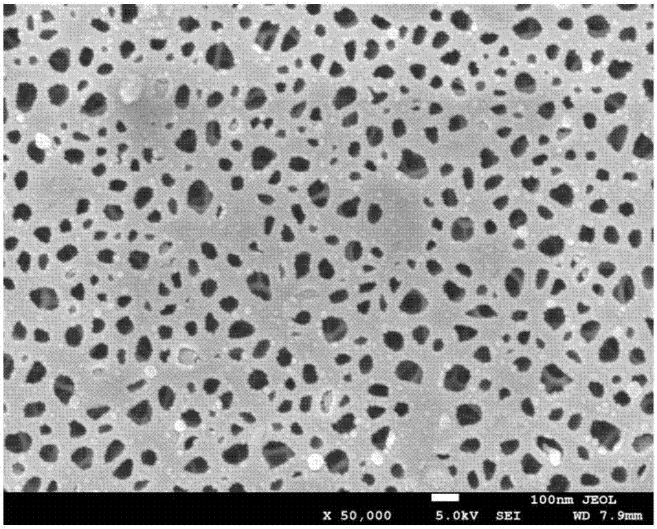 一种纳米多孔Fe基非晶合金及制备方法和在析氧催化电极上的应用与流程