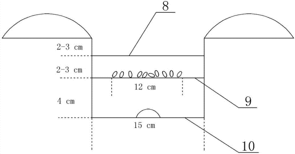 可实现播种带精耕细作的宽幅高产免耕播种机的制作方法