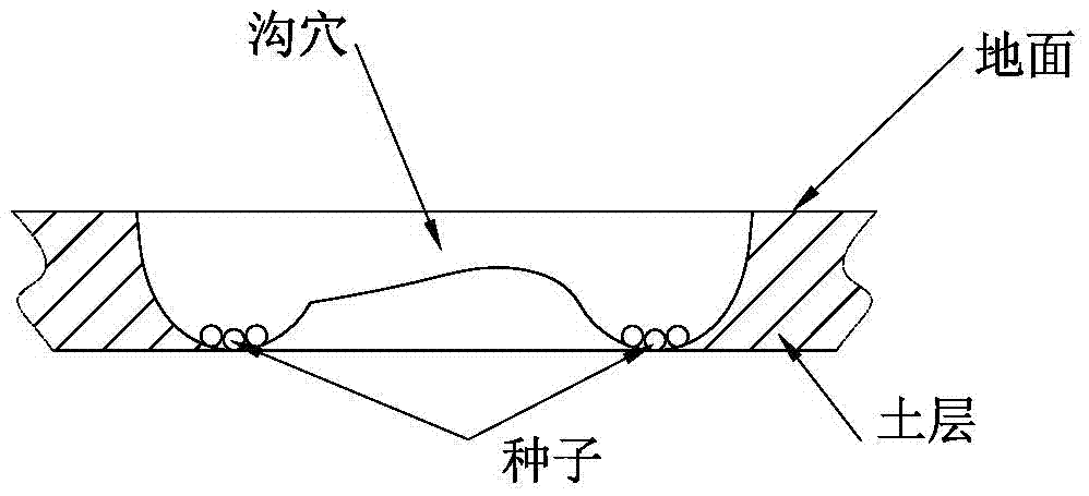 一种宽幅落种土种共播工艺及装置的制作方法