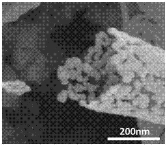 二氧化钛纤维复合陶瓷分离膜及其制备方法与流程