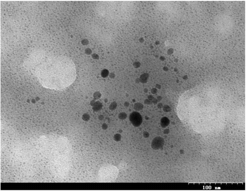 一种银纳米材料及其生物制备方法与应用与流程